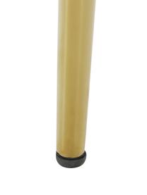 Sedia con braccioli in velluto Ava, Rivestimento: velluto (100% poliestere), Gambe: metallo zincato, Velluto beige, Larg. 57 x Prof. 63 cm