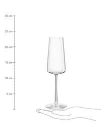 Kristallen champagneglazen Power in kegelvorm, 6 stuks, Kristalglas, Transparant, Ø 7 x H 23 cm, 240 ml