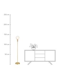 Lámpara de pie de vidrio opalino Minna, Pantalla: vidrio opalino, Cable: cubierto en tela, Latón, Ø 22 x Al 144 cm