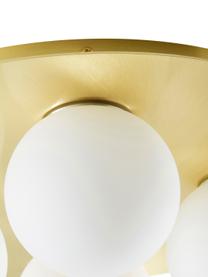 Plafoniera da parete e soffitto dorata Hitch, Baldacchino: metallo ottonato, Paralume: vetro, Ottonato, bianco, Ø 36 x Alt. 12 cm