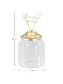 LED Aufbewahrungsdose Deer H 20 cm, Dose: Glas, Deckel: Metall, beschichtet, Transparent, Goldfarben, Ø 15 x H 20 cm