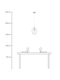 Kleine hanglamp Lee van glas, Lampenkap: glas, Baldakijn: verchroomd metaal, Fitting: verchroomd metaal, Transparant, messingkleurig, Ø 27  x H 33 cm