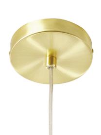 Kleine hanglamp Lee van glas, Lampenkap: glas, Baldakijn: verchroomd metaal, Fitting: verchroomd metaal, Transparant, messingkleurig, Ø 27  x H 33 cm