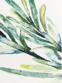 Set 5 stofinacci con motivo erbe Aroma, Cotone, Bianco latteo, tonalità verdi, Lung. 70 x Larg. 50 cm
