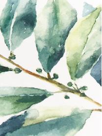 Set 5 stofinacci con motivo erbe Aroma, Cotone, Bianco latteo, tonalità verdi, Lung. 70 x Larg. 50 cm