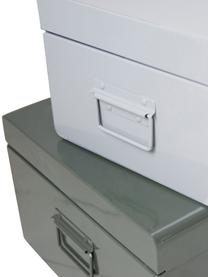 Aufbewahrungsboxen Manty, 2er-Set, Stahl, beschichtet, Grau, Grün, Set mit verschiedenen Größen