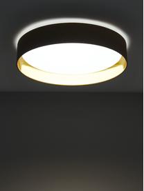 LED-Deckenleuchte Mallory, Diffusorscheibe: Kunststoff, Nougat, Ø 41 x H 10 cm