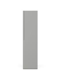 Modulaire draaideurkast Leon in grijs, 50 cm breed, diverse varianten, Frame: met melamine beklede spaa, Grijs, Basis interieur, hoogte 200 cm