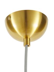 Kleine hanglamp Brussels van glas, Lampenkap: glas, Transparant, goudkleurig, Ø 13  x H 30 cm