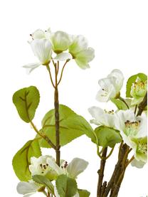 Kunstpflanze Kirschblüte im Übertopf, Kunststoff, Grün, Weiß, Braun, H 89 cm