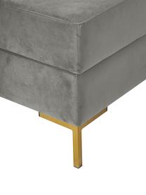 Fluwelen voetenbank Luna met opbergruimte met metalen poten, Bekleding: fluweel (100% polyester),, Frame: massief beukenhout, multi, Poten: gegalvaniseerd metaal, Fluweel lichtgrijs, B 77 x H 49 cm