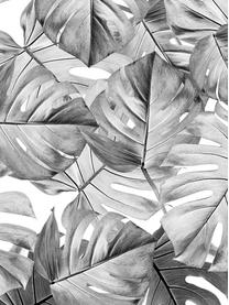 Fototapete Monstera, Vlies, umweltfreundlich und biologisch abbaubar, Schwarz, Weiß, B 97 x H 280 cm