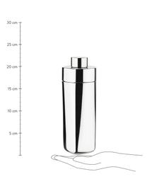 Coctelera de acero inoxidable Rocks, Acero 18/8, Plateado, Ø 8 x Al 21 cm