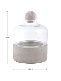 Maceta botella Budi, Botella: vidrio, Gris, transparente, Ø 18 x Al 24 cm