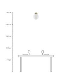 Kleine plafondlamp Hitch van glas, Baldakijn: vermessingd metaal, Lampenkap: glas, Baldakijn en fitting: mat messingkleurig. Lampenkappen: wit, Ø 25 x H 30 cm