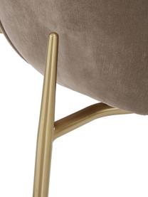 Fluwelen stoel Tess, Bekleding: fluweel (polyester), Poten: gepoedercoat metaal, Fluweel taupe, goudkleurig, B 49 x H 84 cm