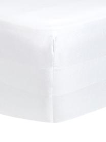 Drap-housse en satin de coton blanc pour sommier tapissier Comfort, Blanc, larg. 200 x long. 200 cm