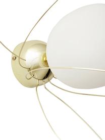 Wandlamp Dela, Lampenkap: opaalglas, Decoratie: verchroomd metaal, Wit, goudkleurig, B 28 x H 38 cm