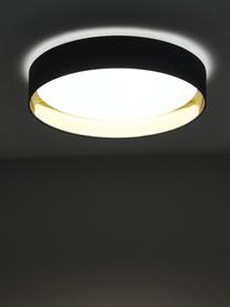 LED-Deckenleuchte Mallory in Dunkelblau, Diffusorscheibe: Kunststoff, Dunkelblau, Ø 41 x H 10 cm