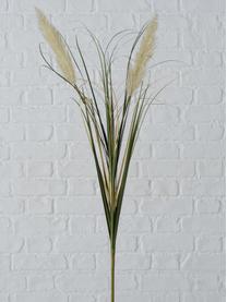 Kunstblumen-Set Pampasgras, 2-tlg., Kunststoff, Beigetöne, Brauntöne, Grün, B 25 x H 100 cm