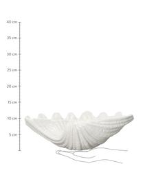 Ciotola da portata in dolomite Shell, Dolomite, Bianco, Larg. 34 x Alt. 10 cm