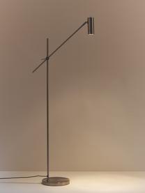 Liseuse Cassandra, Couleur argentée, mat, larg. 75 x haut. 152 cm