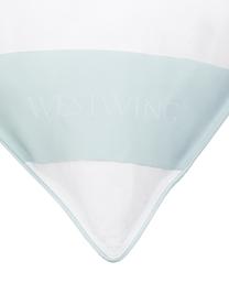 Feder-Kopfkissen Standard, mittel, Hülle: 100% Baumwolle, Mako-Köpe, Mittel, B 40 x L 80 cm