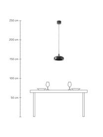 Kulaté závěsné LED svítidlo Alva, Antracitová, Ø 28 cm, V 150 cm