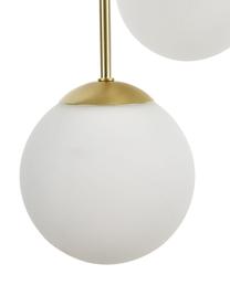 Lámpara de techo Edie, Anclaje: metal latón, Cable: cubierto en tela, Blanco, latón, An 30 x F 30 cm