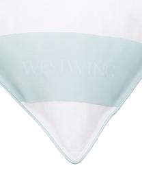 Oreiller en plumes Comfort, doux, Souple, larg. 80 x long. 80 cm