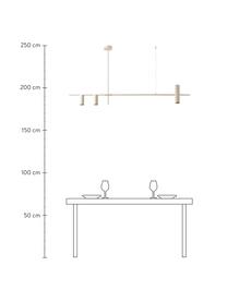 Große Pendelleuchte Cassandra, Lampenschirm: Metall, pulverbeschichtet, Baldachin: Metall, pulverbeschichtet, Beige, matt, B 143 x H 73 cm
