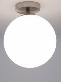 Lampada da soffitto piccola in vetro Hitch, Baldacchino: metallo nichelato, Paralume: vetro, Argentato, bianco, Ø 25 x Alt. 30 cm