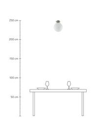 Malá stropná lampa zo skla Hitch, Stropný kryt a objímka: odtiene striebornej, matná Tienidlo: biela, Ø 25 x V 30 cm
