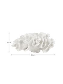 Dekoracja Coral, Poliresing, Biały, S 25 x W 10 cm