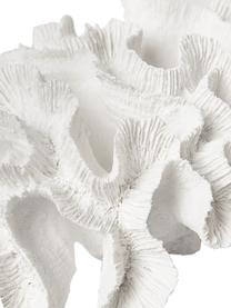 Pieza decorativa de diseño Coral, Poliresina, Blanco, An 25 x Al 10 cm