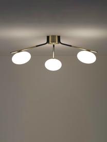 Lampada da soffito grande di design Guna, Baldacchino: metallo verniciato a polv, Nero, ottonato, Ø 76 x Alt. 25 cm