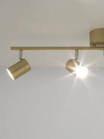 Velké stropní svítidlo Correct, Zlatá, Š 83 cm, V 18 cm