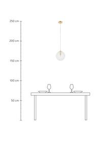 Kleine hanglamp Lorna van glas, Lampenkap: glas, Transparant, Ø 25 cm