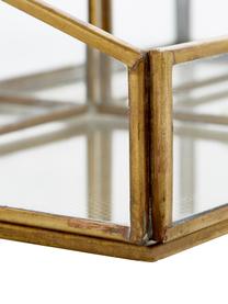 Organizer Sorted, Rahmen: Metall, beschichtet, Messing, B 24 x H 9 cm