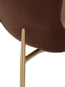 Sedia imbottita in tessuto marrone Tess, Rivestimento: velluto (poliestere) Il r, Gambe: metallo verniciato a polv, Velluto marrone, dorato, Larg. 49 x Alt. 84 cm