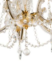 Lámpara de araña Marie Therese, Estructura: metal, Casquillo: metal, Anclaje: metal, Dorado, transparente, Ø 48 x Al 42 cm