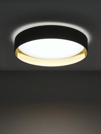 LED-Deckenleuchte Mallory in Grün, Diffusorscheibe: Kunststoff, Grün, Ø 41 x H 10 cm