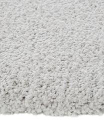 Tappeto morbido a pelo lungo Leighton, Retro: 70% poliestere, 30% coton, Grigio chiaro, Larg. 200 x Lung. 300 cm (taglia L)