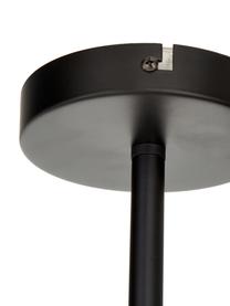 Grote Plafondlamp Aurelia in zwart, Baldakijn: gepoedercoat metaal, Zwart, grijs, B 110 cm x H 32 cm