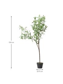 Kunstpflanze Olive im Übertopf, Kunststoff, Grün, H 154 cm