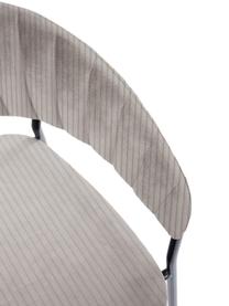 Chaises rembourrées en velours Belle, 2 pièces, Velours gris, larg. 57 x prof. 54 cm