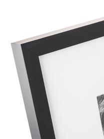 Impresión digital enmarcada Lion Close Up, Negro, blanco, An 40 x Al 40 cm
