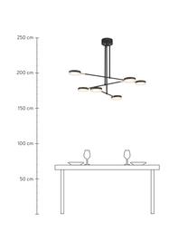 Grande suspension noire LED Fad, Noir, couleur argentée, beige, larg. 89 x haut. 62 cm