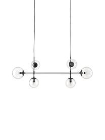 Große Pendelleuchte Cassia, Baldachin: Metall, pulverbeschichtet, Schwarz, Transparent, Ø 15 x H 150 cm