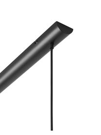 Große Pendelleuchte Cassia, Baldachin: Metall, pulverbeschichtet, Schwarz, Transparent, Ø 15 x H 150 cm